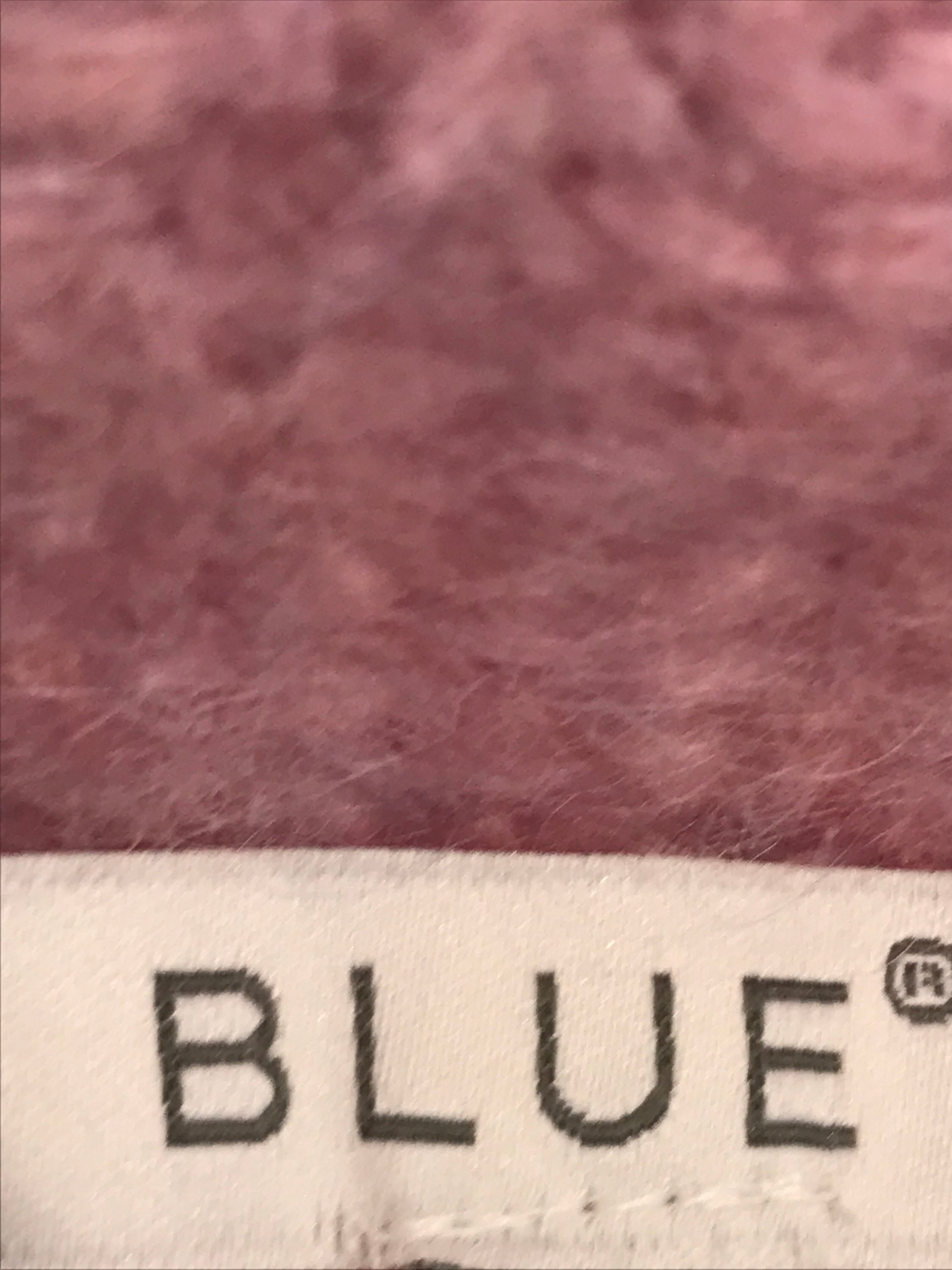 Blue Bluse